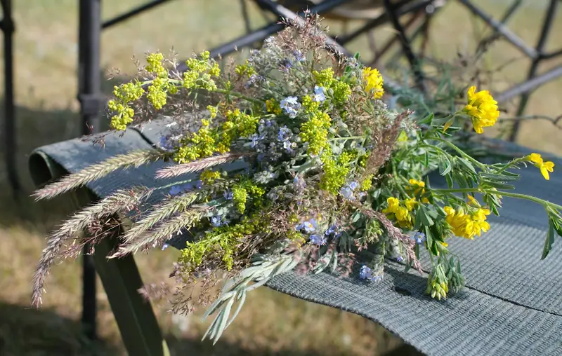 Bouquet de fleurs des champs posé sur une chaise